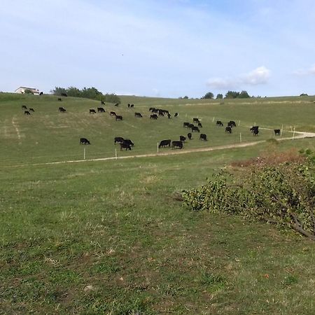 Agriturismo Preele Villa Ferrara di Monte Baldo Bagian luar foto