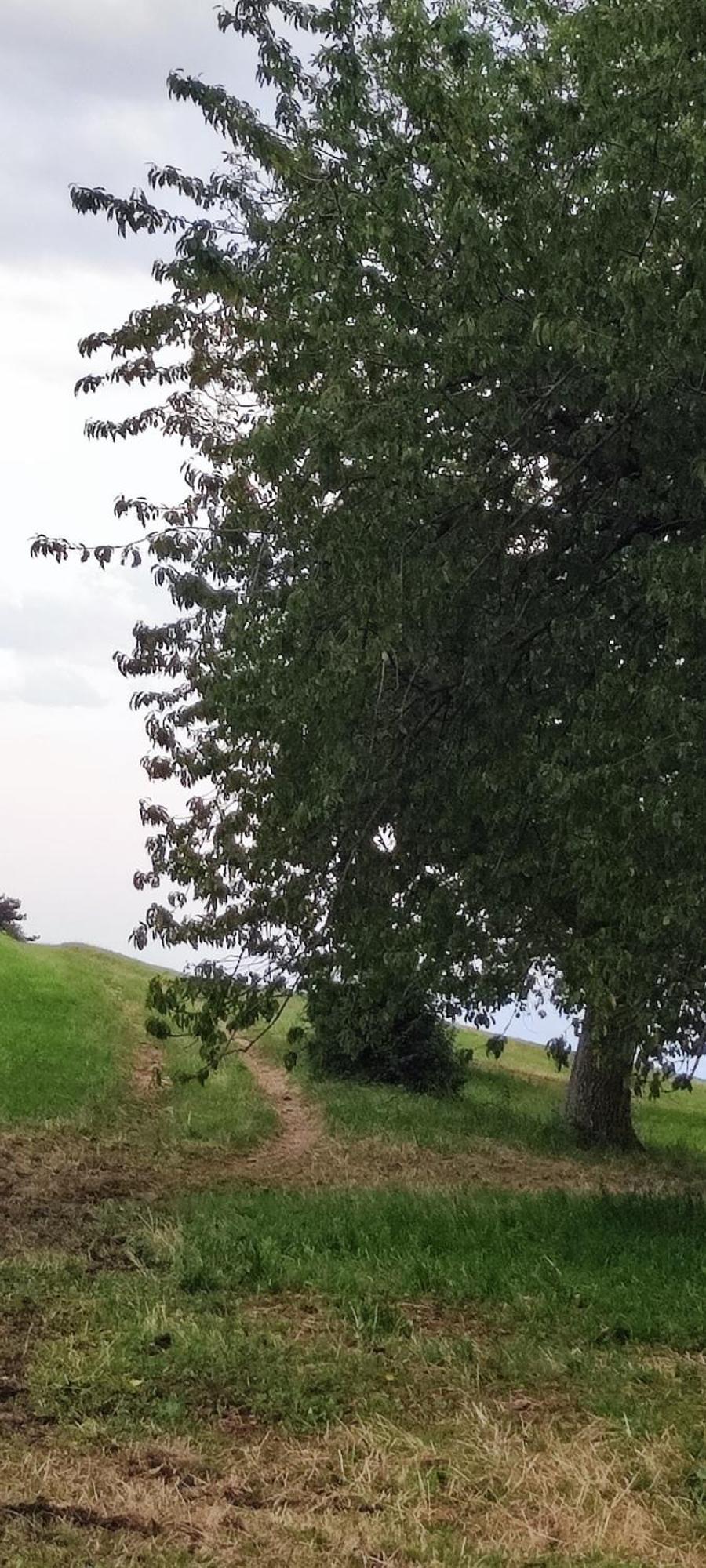 Agriturismo Preele Villa Ferrara di Monte Baldo Bagian luar foto